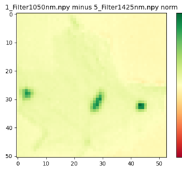 wet leaf analyzed